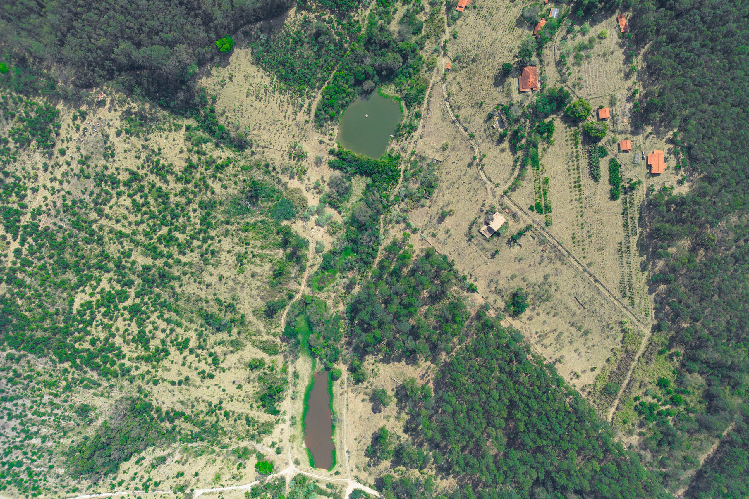 FAZENDA-SANTA-ESPERANCA-01-2